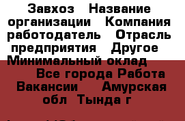 Завхоз › Название организации ­ Компания-работодатель › Отрасль предприятия ­ Другое › Минимальный оклад ­ 30 000 - Все города Работа » Вакансии   . Амурская обл.,Тында г.